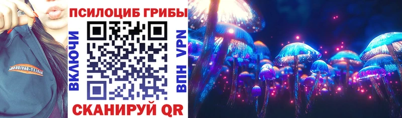 omg вход  Полтавская  Галлюциногенные грибы Psilocybe  как найти наркотики 